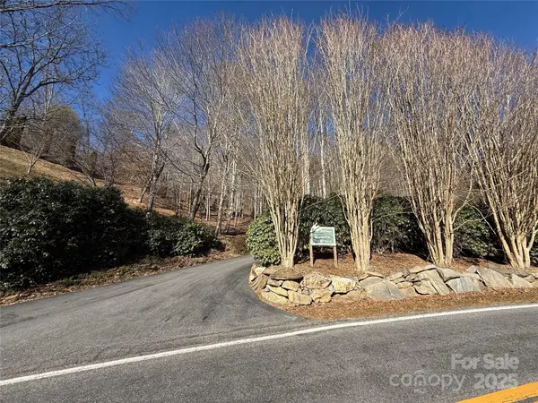 12,13,27 Brer Rabbit TRL #12,13,27, Waynesville, NC 28785