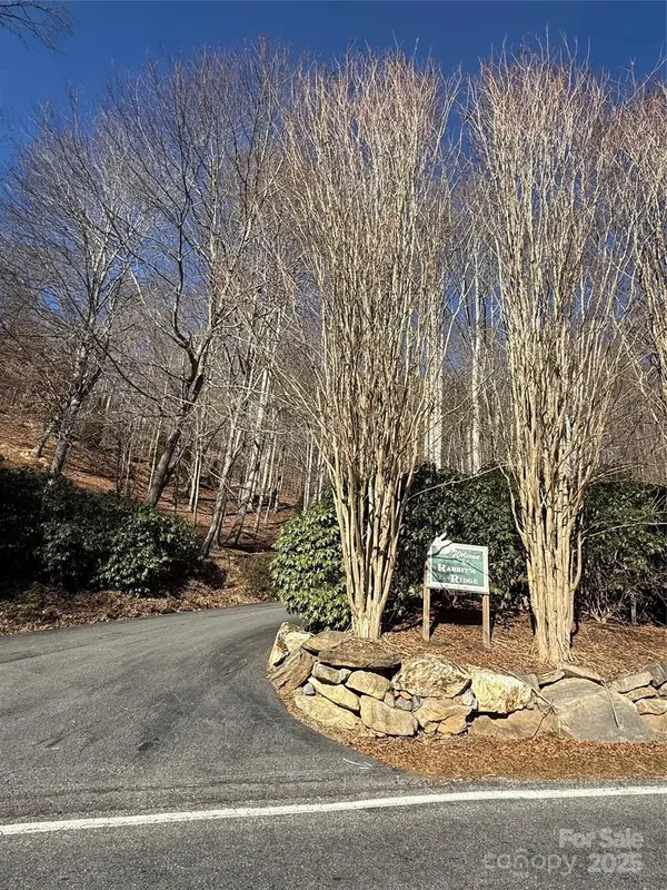 12,13,27 Brer Rabbit TRL #12,13,27, Waynesville, NC 28785