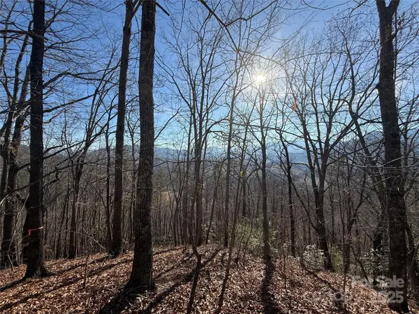 Lot 12 Bernies TRL #12, Waynesville, NC 28785