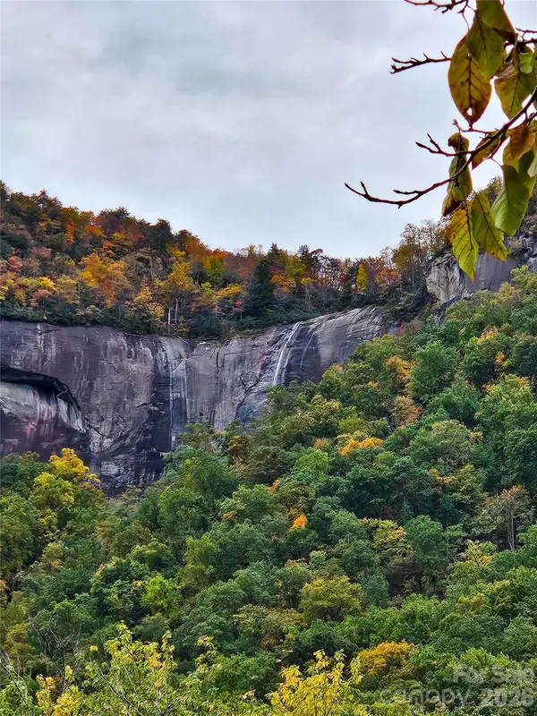 712 Main ST, Chimney Rock, NC 28720