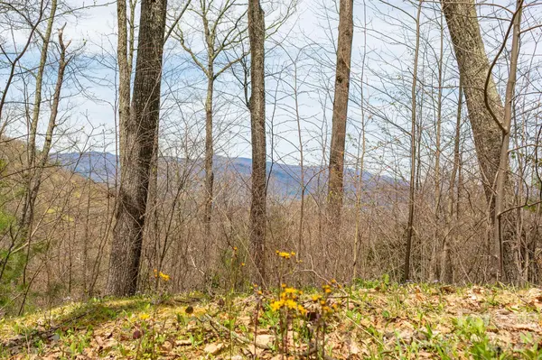 Lot 2 Heritage Ridge LOOP, Burnsville, NC 28714