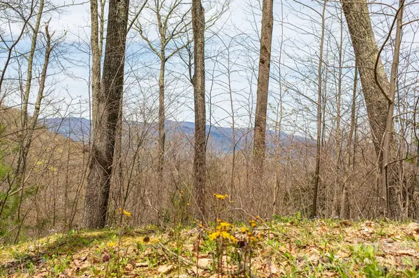 Lot 2 Heritage Ridge LOOP, Burnsville, NC 28714