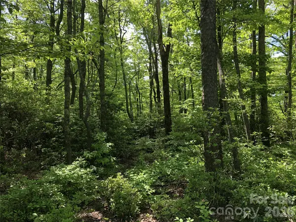 0 Millard XING #15, Hendersonville, NC 28792