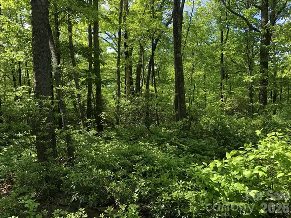 00 Millard XING #17, Hendersonville, NC 28792