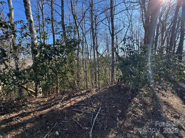 Lot 19 Udoque CT, Brevard, NC 28712