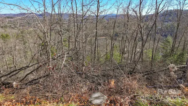 TBD MCHONE RD, Spruce Pine, NC 28777