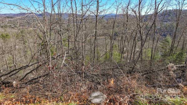 TBD MCHONE RD, Spruce Pine, NC 28777
