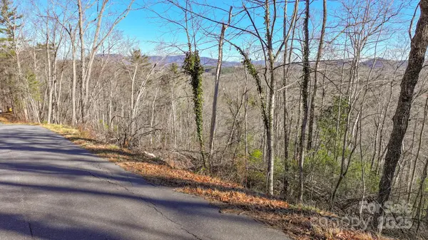 TBD MCHONE RD, Spruce Pine, NC 28777
