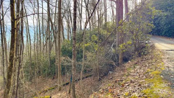 TBD High Acres RD, Spruce Pine, NC 28777