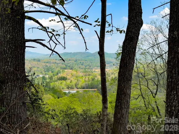 TBD Pine Point RD, Spruce Pine, NC 28777