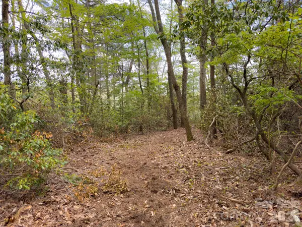 TBD Pine Point RD, Spruce Pine, NC 28777