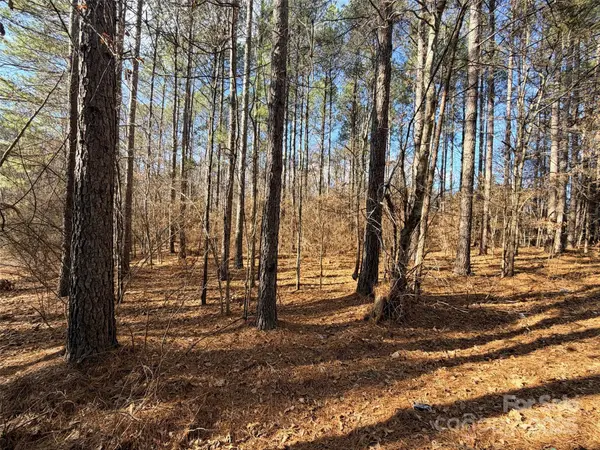 9999 Doggett Grove RD, Forest City, NC 28043