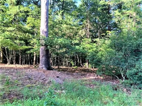 0 E Swans WAY #262, Lake Lure, NC 28746