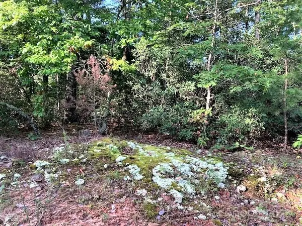 0 E Swans WAY #262, Lake Lure, NC 28746