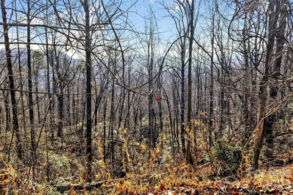 100 Wolf Pen RD, Old Fort, NC 28762