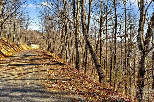 100 Wolf Pen RD, Old Fort, NC 28762