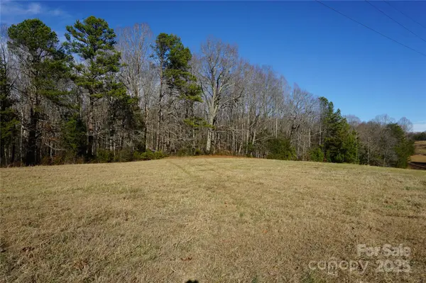 14+/-AC Canipe RD #LOT E, York, SC 29745