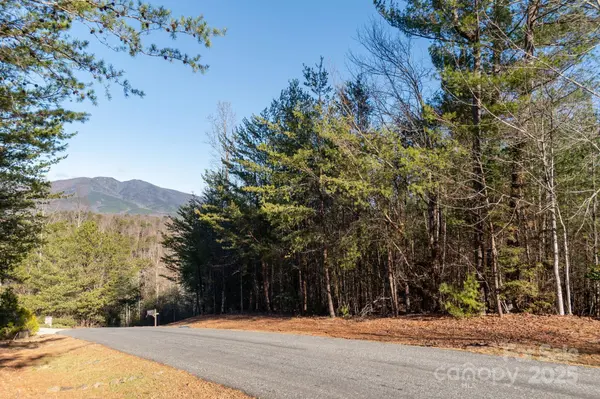 TBD Dockside DR, Nebo, NC 28754