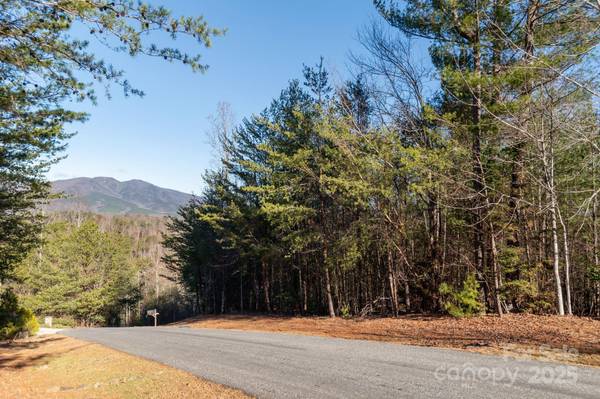 TBD Dockside DR, Nebo, NC 28754