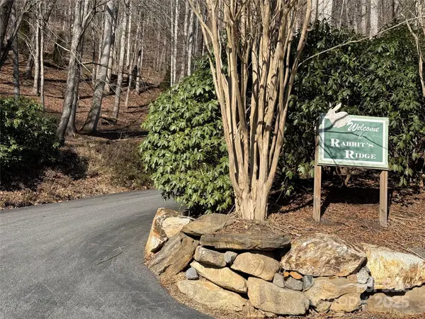 Lot 14 Bernies TRL #14, Waynesville, NC 28785