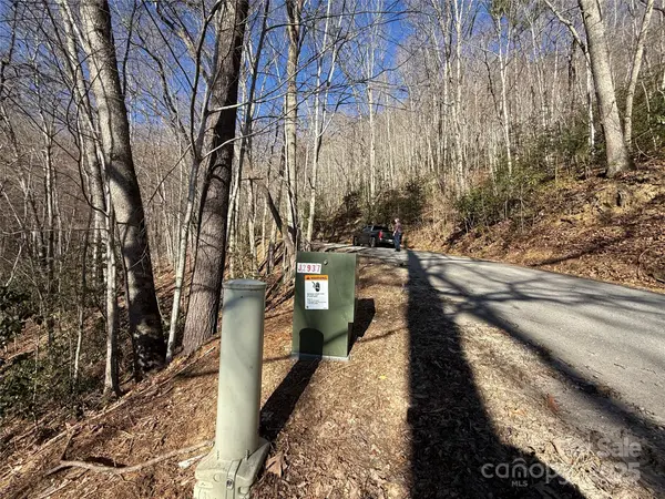 Lot 14 Bernies TRL #14, Waynesville, NC 28785