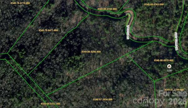 Lot 37 Birch LN #37, Rosman, NC 28772
