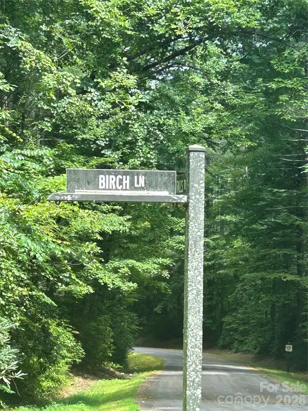 Lot 37 Birch LN #37, Rosman, NC 28772