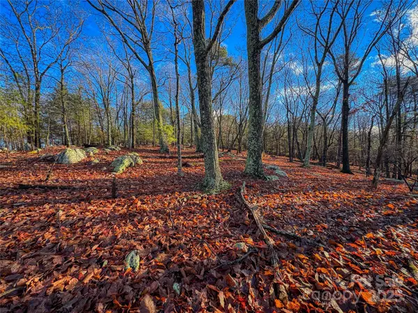 338 Sierra Trace RD, Denton, NC 27239