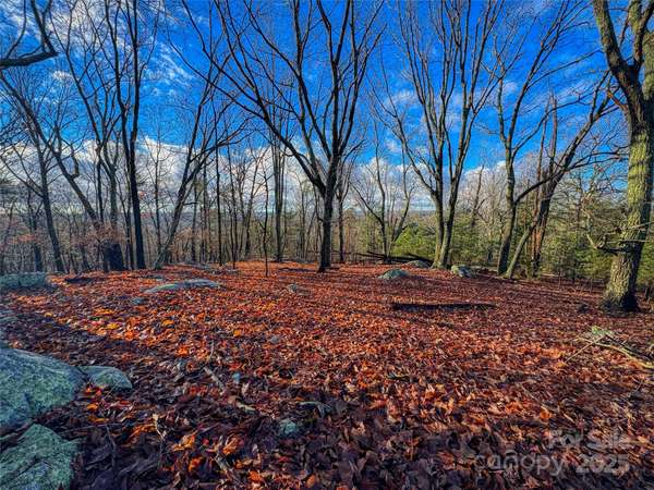 338 Sierra Trace RD, Denton, NC 27239