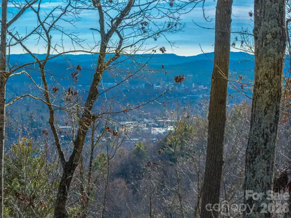 10 Villa Nova DR, Asheville, NC 28804