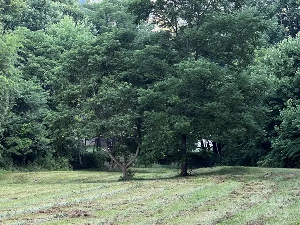 Lot 1 Turtle Rock LN, Waynesville, NC 28785