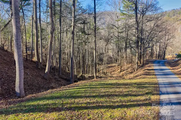 15 Beech Tree LN, Asheville, NC 28804