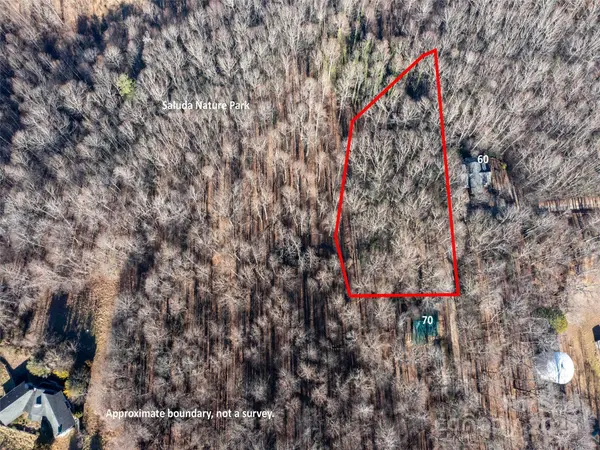 00 Mountain Page RD #17,18,19, Saluda, NC 28773