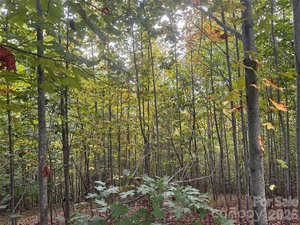 311 Scenic Vista DR #254, Nebo, NC 28761