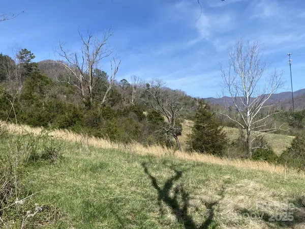 1 Pink Fox Cove RD, Weaverville, NC 28787