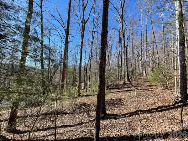00 Chattooga RUN #292R, Hendersonville, NC 28739