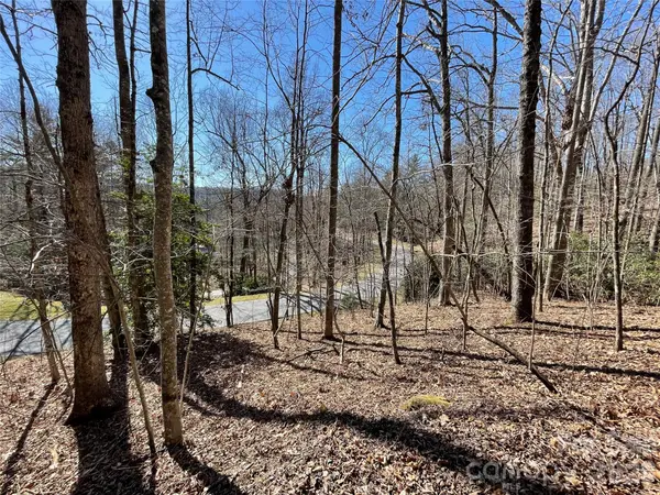 00 Chattooga RUN #292R, Hendersonville, NC 28739