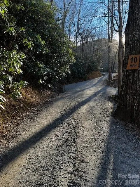 9999 Tessie LN, Black Mountain, NC 28711