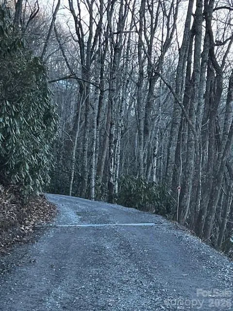 9999 Tessie LN, Black Mountain, NC 28711