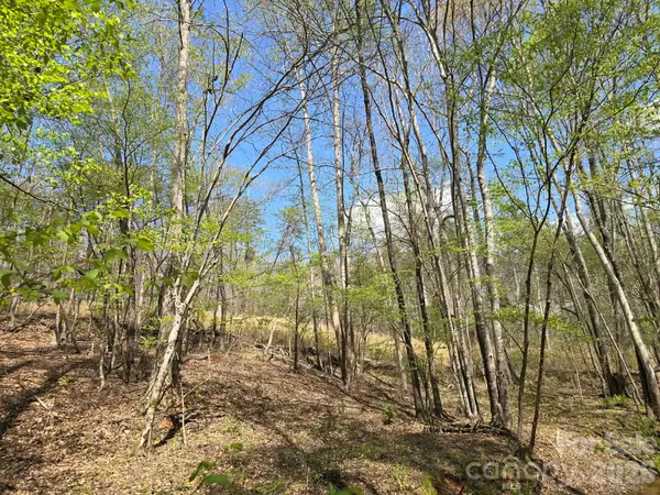Lot 26 Grandview DR #26, Rutherfordton, NC 28139
