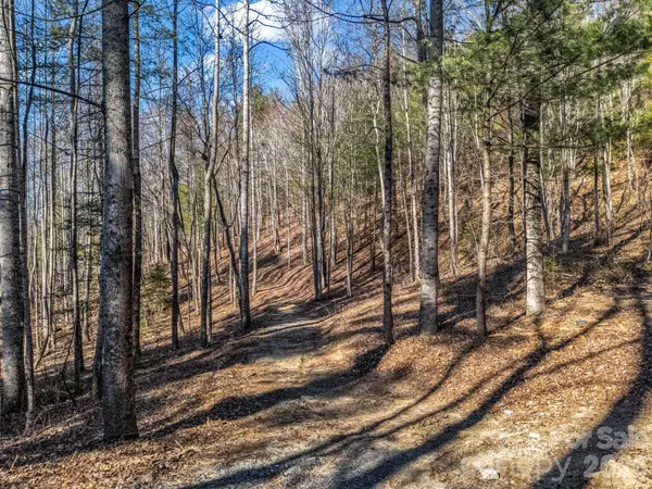 171 Justamere LN, Hendersonville, NC 28739