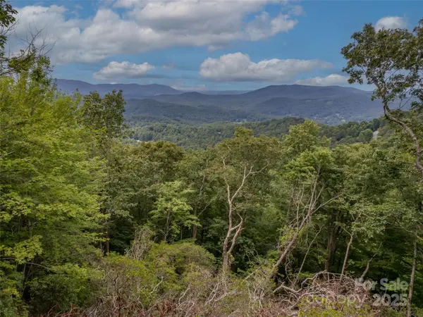 20 Highland Point DR, Hendersonville, NC 28739
