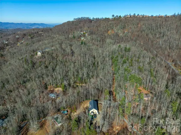 9999 Coy-Evie LN, Laurel Park, NC 28739