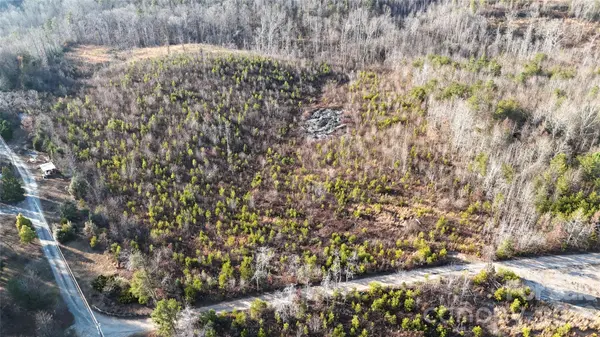 0 Brady Hampton DR, Rutherfordton, NC 28139