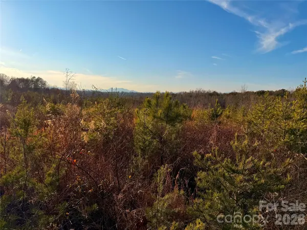 0 Brady Hampton DR, Rutherfordton, NC 28139