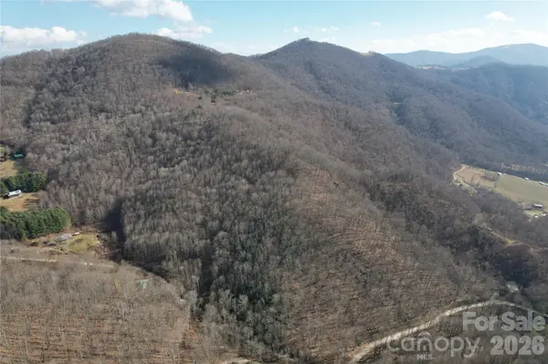 00 Mule Stomp RD, Clyde, NC 28721