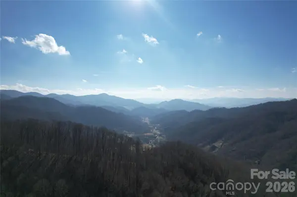 00 Mule Stomp RD, Clyde, NC 28721