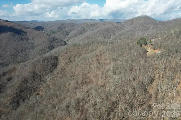 00 Mule Stomp RD, Clyde, NC 28721