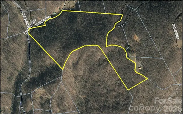 00 Mule Stomp RD, Clyde, NC 28721