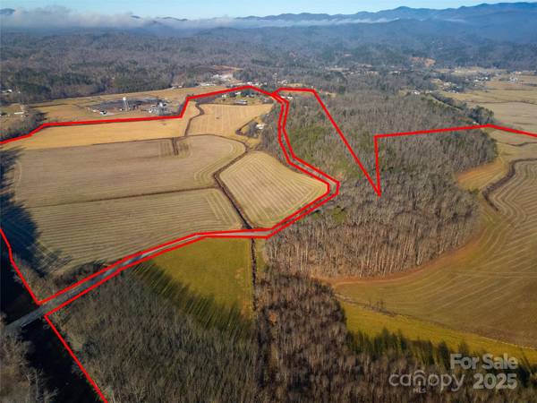 000 Lyons Mountain RD, Brevard, NC 28712